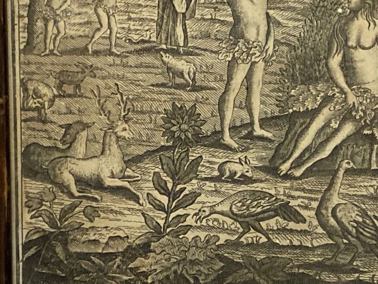 Eighteenth-century engraving Adam and Eve Temptation Sin Genesis Chapter 3 Basset