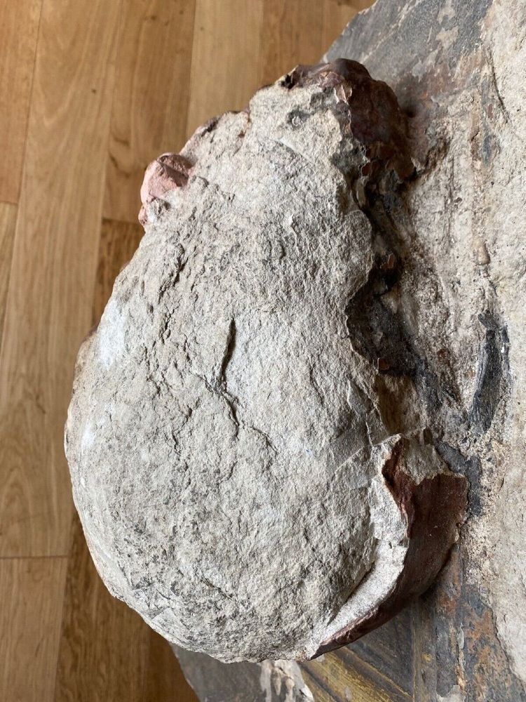 Sculpture, profile of a man with hair, face, stone, direct cut 20th century