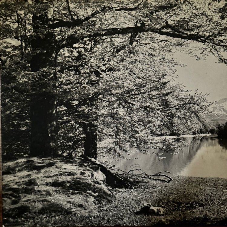 Photo on wood panel mountain landscape 1960