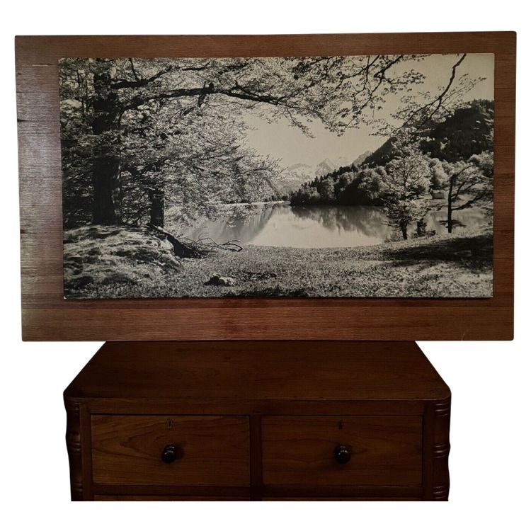 Photo on wood panel mountain landscape 1960