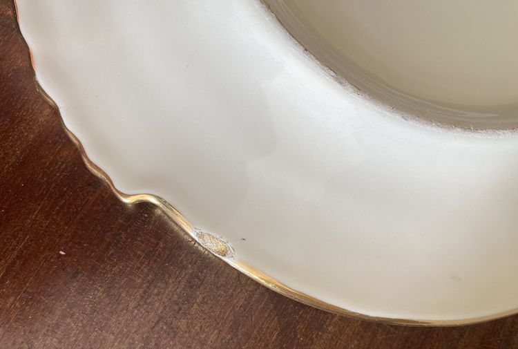 12 Ceramic Plates Ivory Design Fish with Gold Trim