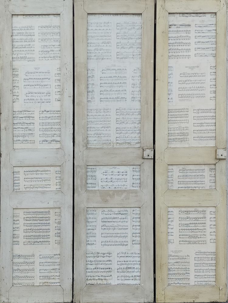 3 Portes De Placard Anciennes époque 1880