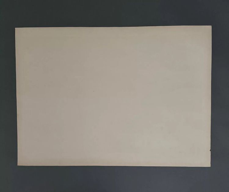 Lithograph by Henri Rivière Aspects of Nature - Le Vallon