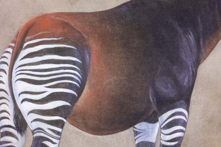Bemalte Leinwand mit der Darstellung eines Okapi auf grauem Hintergrund. Zeitgenössisch.LS63391621B