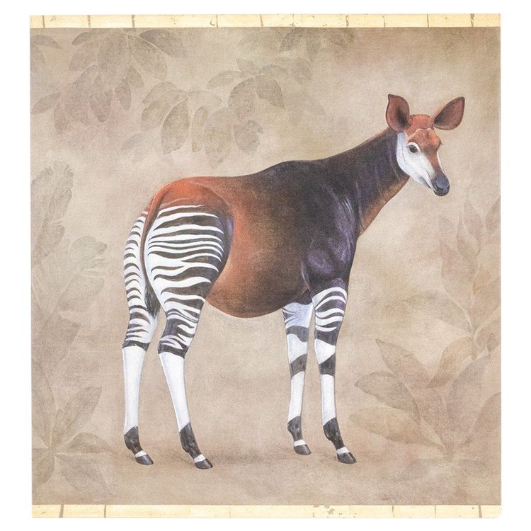 Bemalte Leinwand mit der Darstellung eines Okapi auf grauem Hintergrund. Zeitgenössisch.LS63391621B