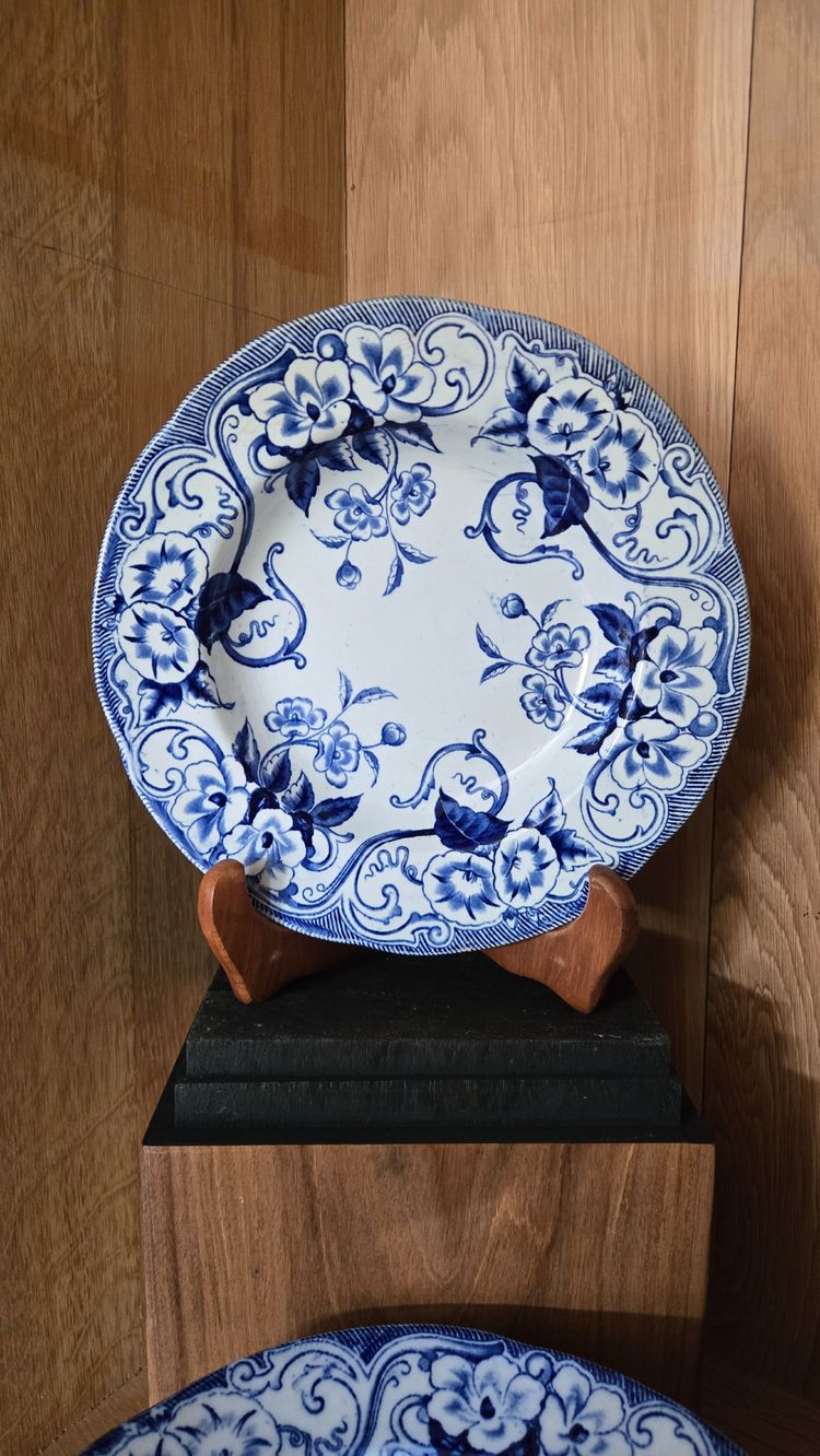 Creil Et Montereau - 12 Flora Model Soup Plates