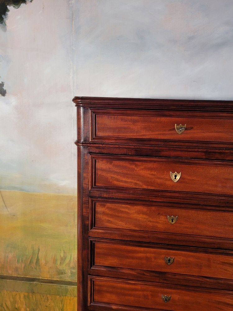 Semainier, Chiffonnier, Commode Haute. Acajou