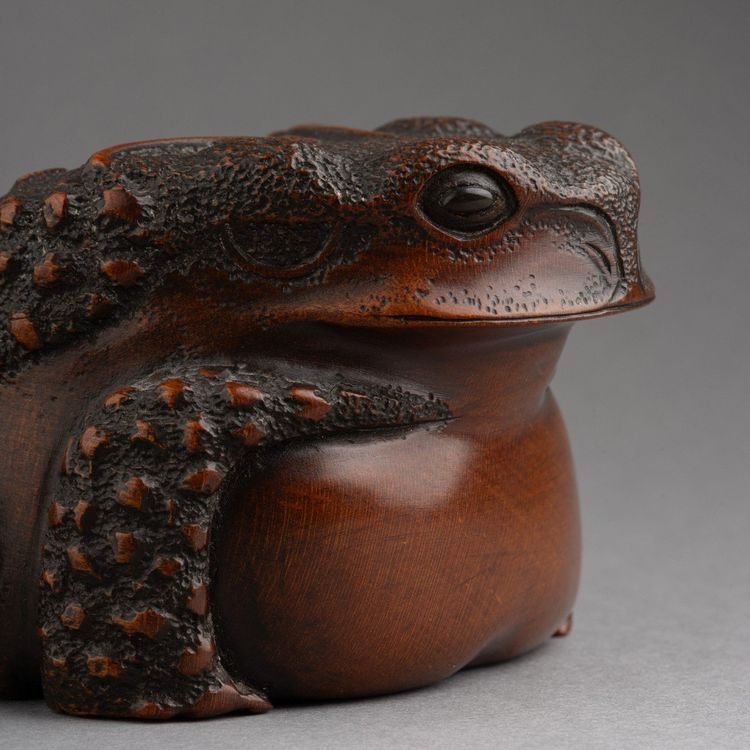 Bellissimo rospo in legno intagliato - Okimono, scultura, Giappone, Edo, XIX secolo