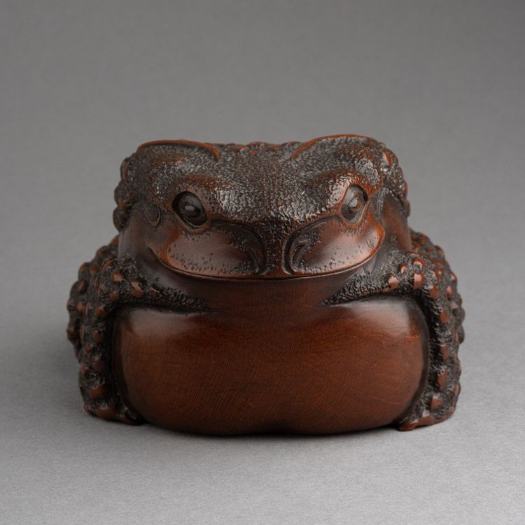 Bellissimo rospo in legno intagliato - Okimono, scultura, Giappone, Edo, XIX secolo