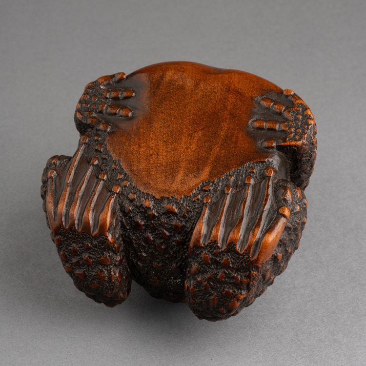 Bellissimo rospo in legno intagliato - Okimono, scultura, Giappone, Edo, XIX secolo