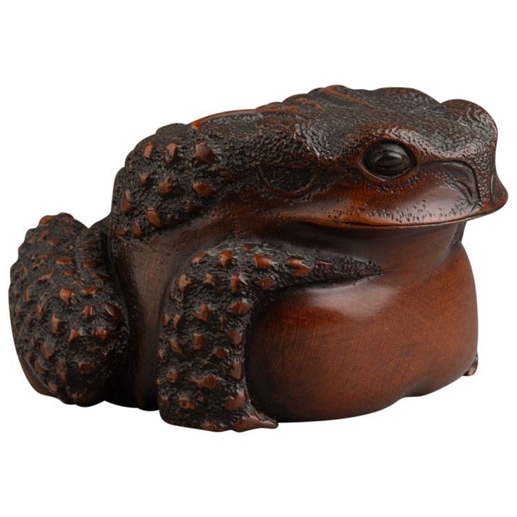 Bellissimo rospo in legno intagliato - Okimono, scultura, Giappone, Edo, XIX secolo