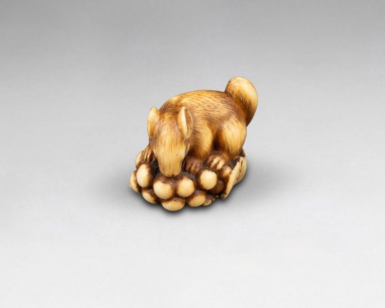 Netsuke En Ivoire Par Ranichi, Représentant Un Loir. Japon Edo