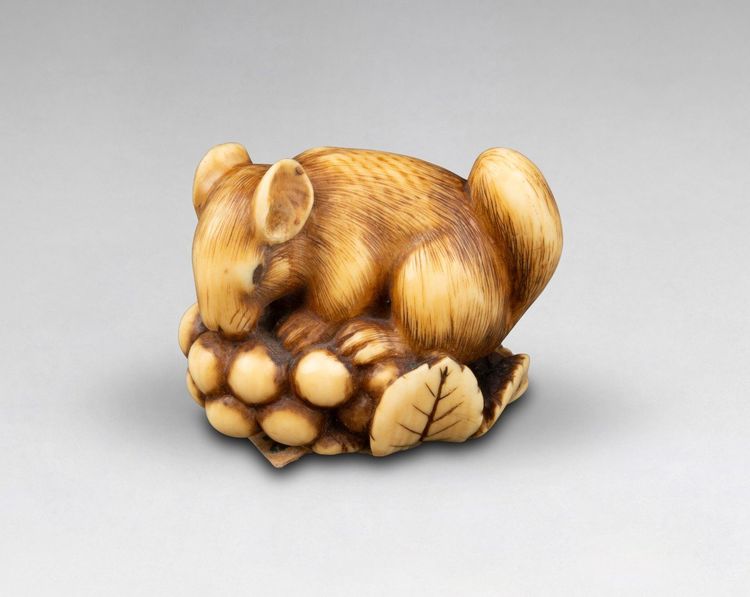Netsuke En Ivoire Par Ranichi, Représentant Un Loir. Japon Edo