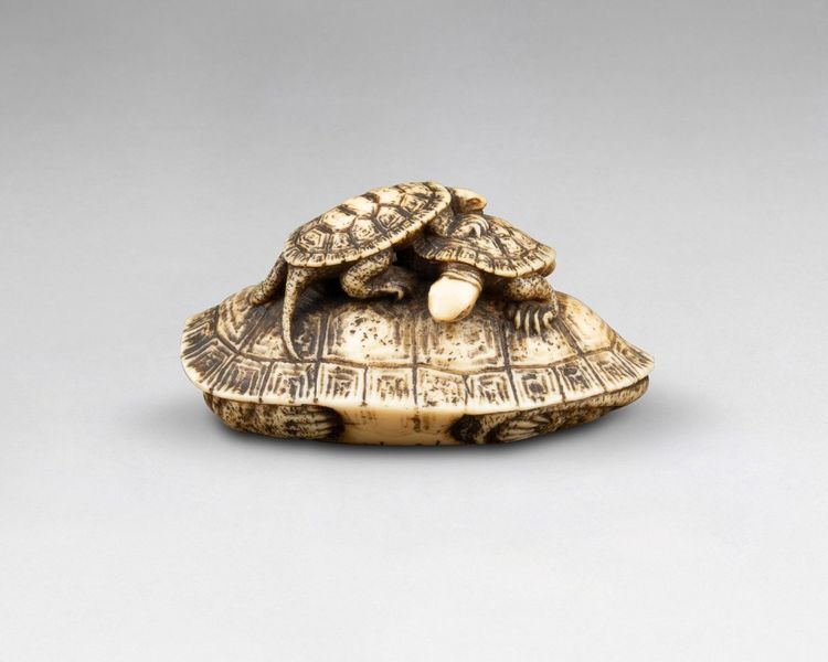 Netsuke in avorio raffigurante tre tartarughe. Giappone Edo, XIX secolo