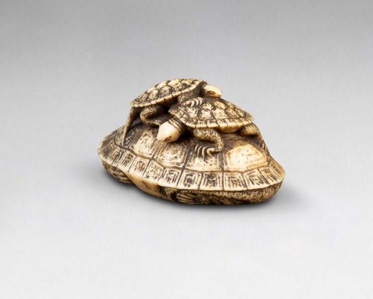 Netsuke in avorio raffigurante tre tartarughe. Giappone Edo, XIX secolo