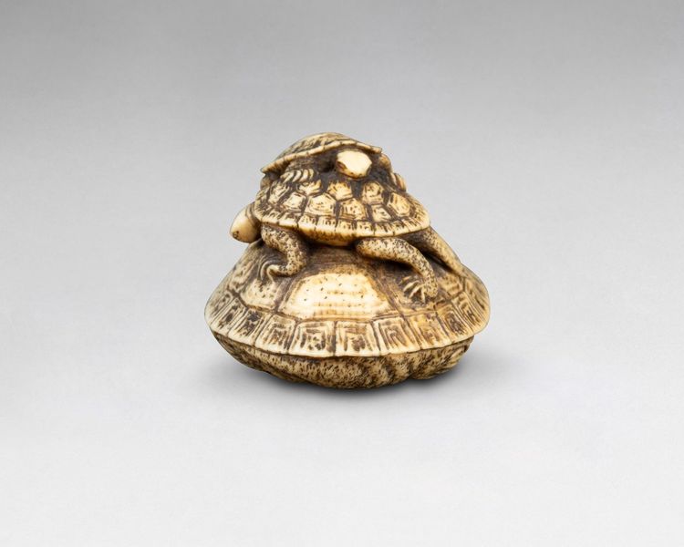 Netsuke in avorio raffigurante tre tartarughe. Giappone Edo, XIX secolo