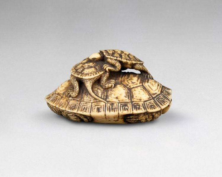 Netsuke in avorio raffigurante tre tartarughe. Giappone Edo, XIX secolo