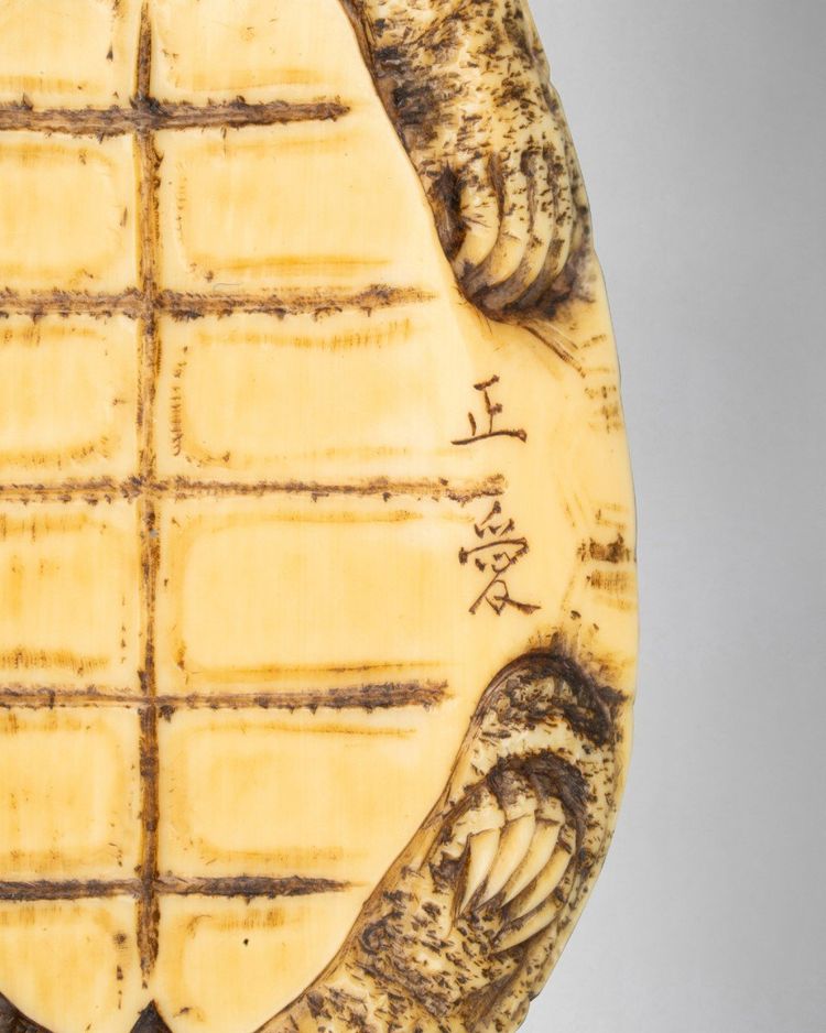 Netsuke in avorio raffigurante tre tartarughe. Giappone Edo, XIX secolo