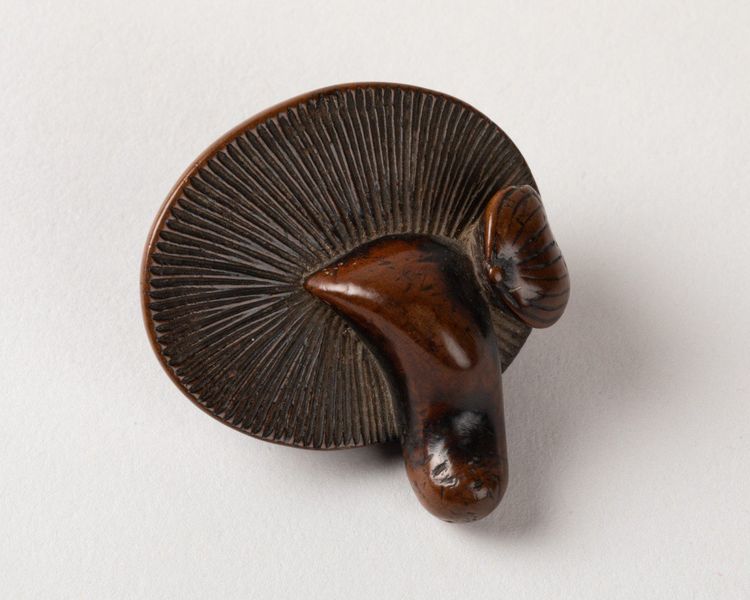 Netsuke - Wooden mushroom and small chestnut. Japan Edo 19th century