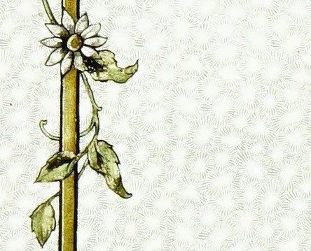 Vitrail - Vitraux - Guirlandes De Fleurs