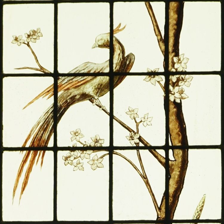 Stained glass - Stained glass windows - Crested bird