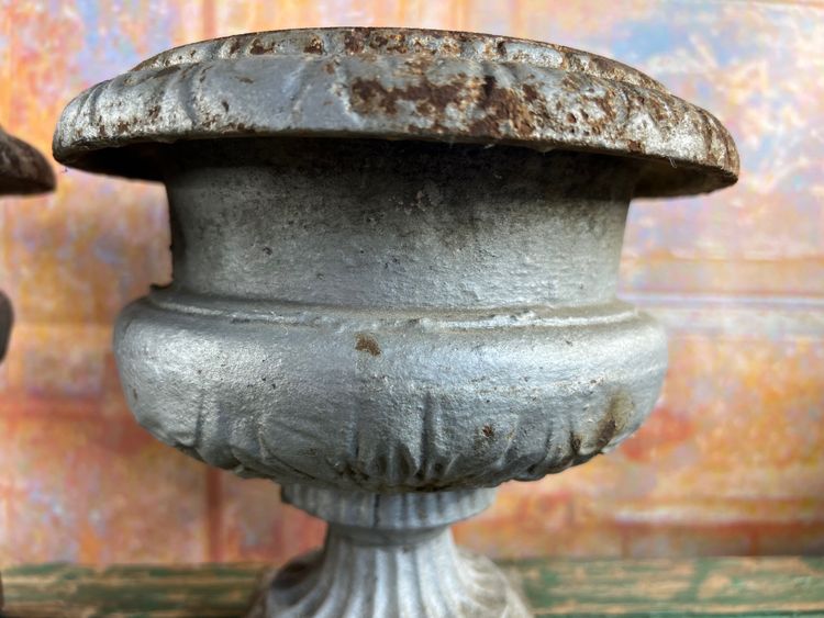 Pair of Medici Vases in Cast Iron, planter - Elegance of the 19th century