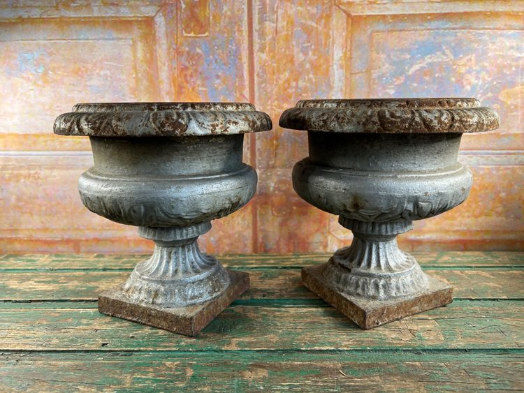 Pair of Medici Vases in Cast Iron, planter - Elegance of the 19th century
