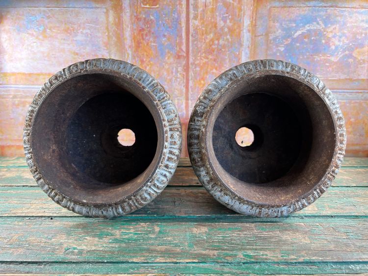 Pair of Medici Vases in Cast Iron, planter - Elegance of the 19th century
