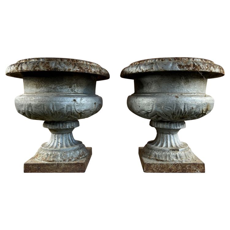 Pair of Medici Vases in Cast Iron, planter - Elegance of the 19th century
