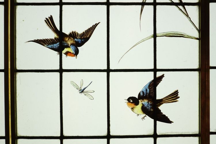 Vitrail - Vitraux - Hérons, Mésanges et Libellules