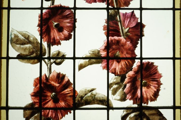 Vetrate - Vetrate - Roses Trémières