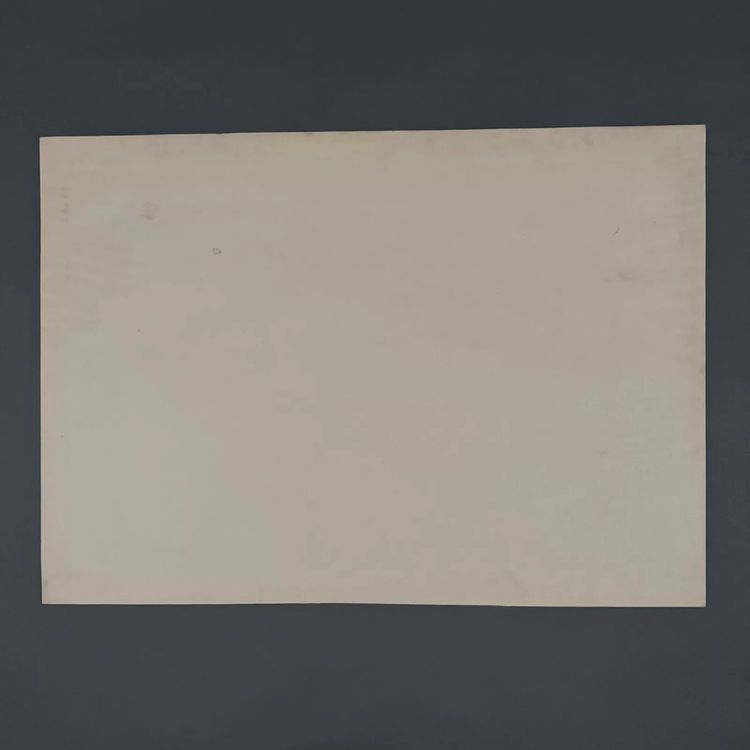 Lithograph by Henri Rivière Aspects of Nature - Cape Town