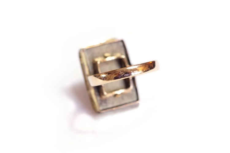 Victorian dog ring, Portrait miniature dog ring, 9k gold, England, Spaniel brittany