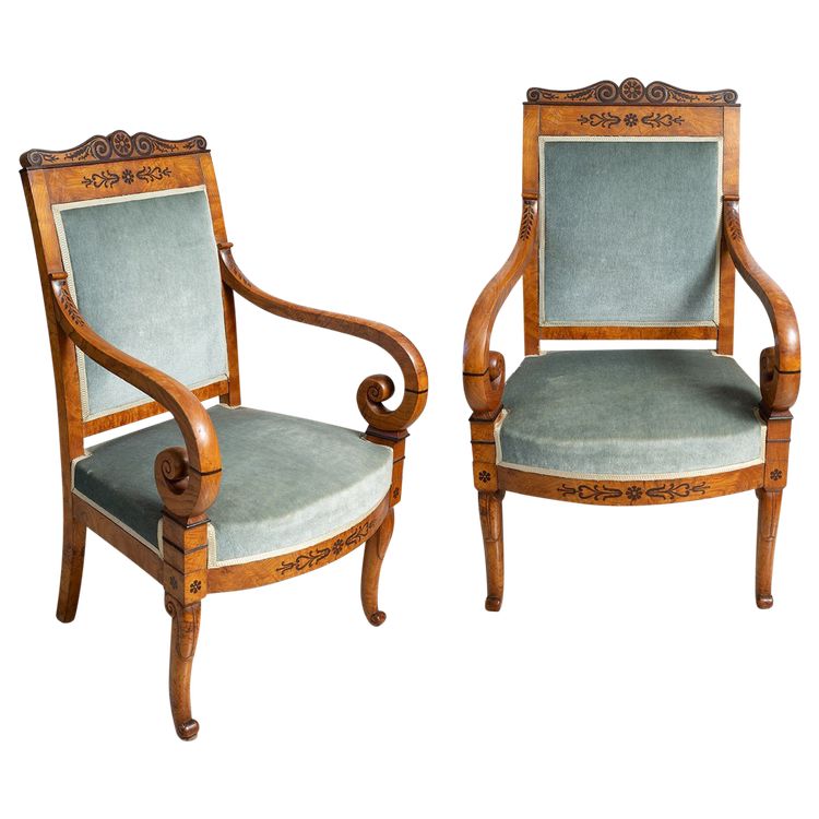 Pair of antique Charles X armchairs in elm burl and amaranth. France, 19th century.
