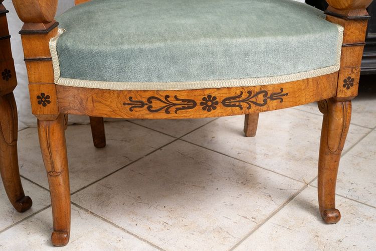 Pair of antique Charles X armchairs in elm burl and amaranth. France, 19th century.