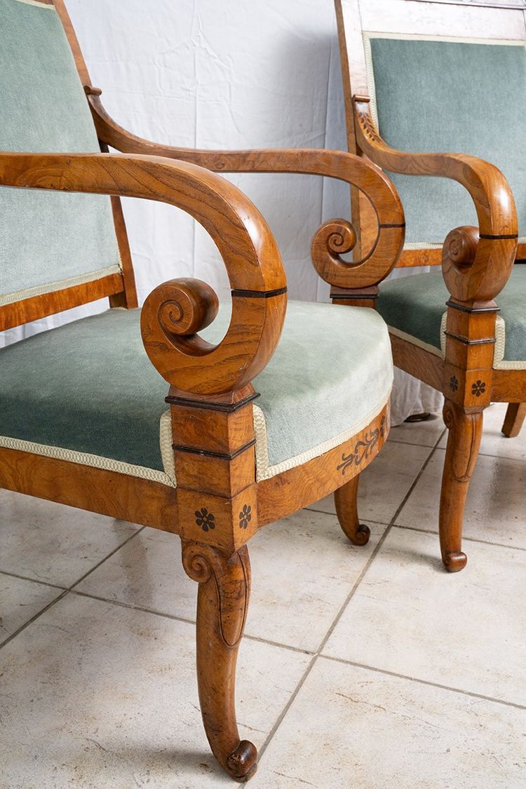 Pair of antique Charles X armchairs in elm burl and amaranth. France, 19th century.