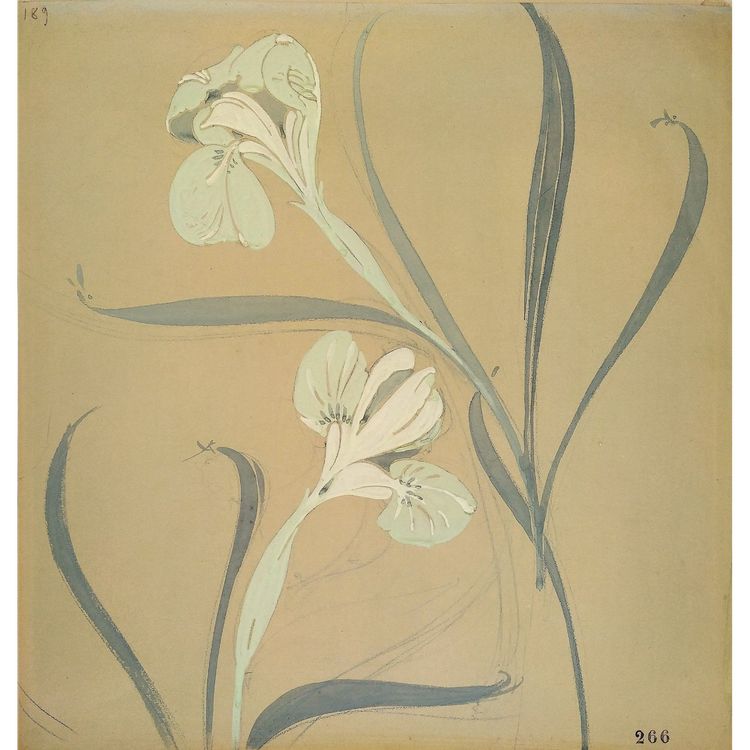 Gouache Schwertlilien Jugendstil Blumen Botanische Wanddekoration