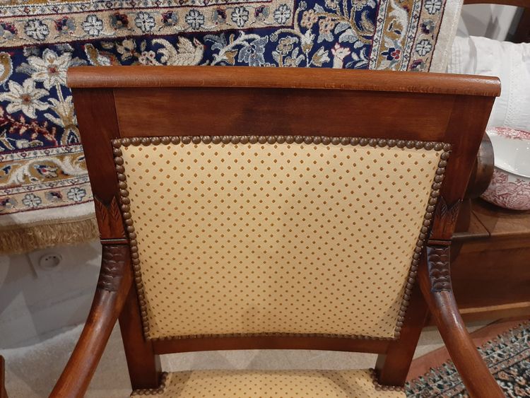 Paire de Fauteuils Têtes de Dauphin en Acajou Blond -  Début XIXème
