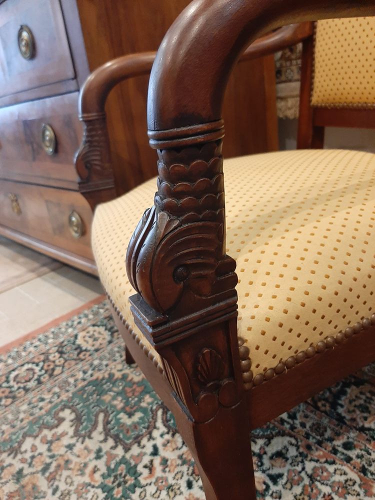 Paire de Fauteuils Têtes de Dauphin en Acajou Blond -  Début XIXème