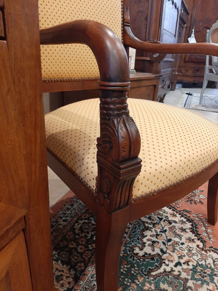 Paire de Fauteuils Têtes de Dauphin en Acajou Blond -  Début XIXème