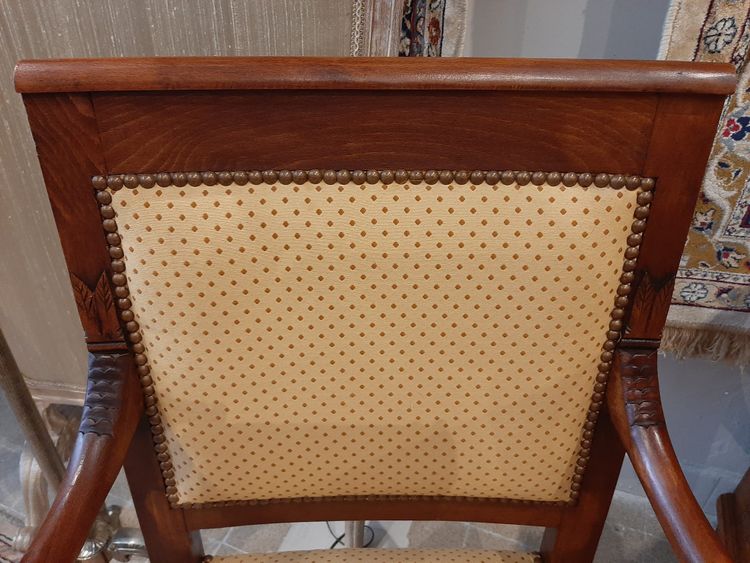 Paire de Fauteuils Têtes de Dauphin en Acajou Blond -  Début XIXème