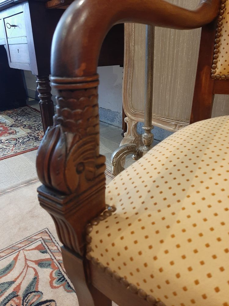 Paire de Fauteuils Têtes de Dauphin en Acajou Blond -  Début XIXème