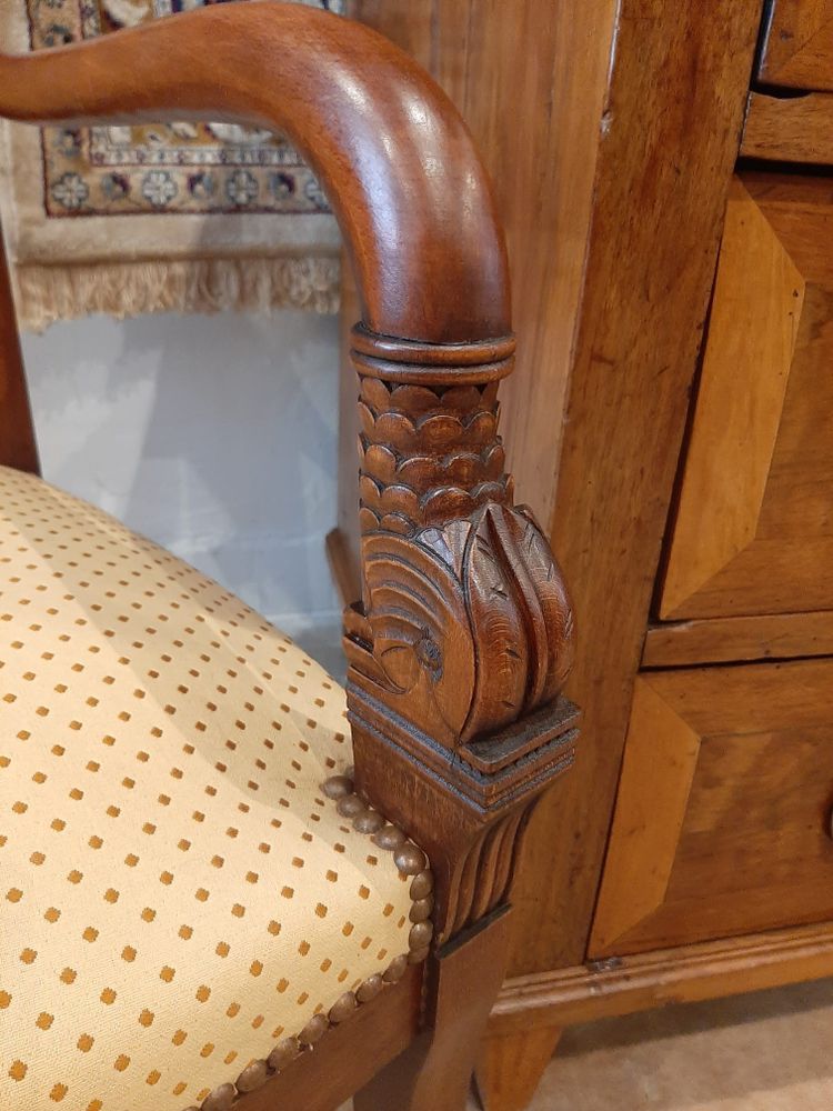 Paire de Fauteuils Têtes de Dauphin en Acajou Blond -  Début XIXème