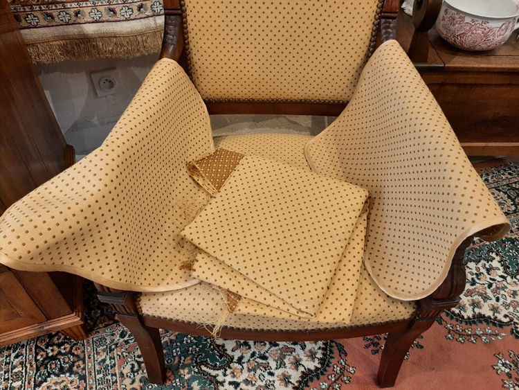 Paire de Fauteuils Têtes de Dauphin en Acajou Blond -  Début XIXème