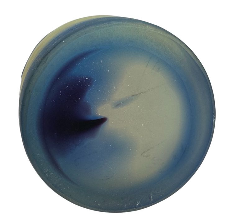 Emile Gallé Vase with Prunus
