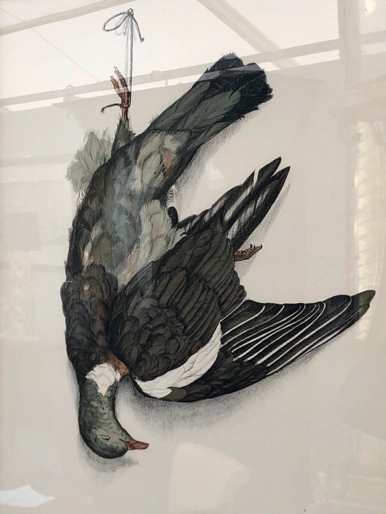 Pair Of Wood-pigeon Lithographs, Signed Jérôme Trolliet And Dated 1972
