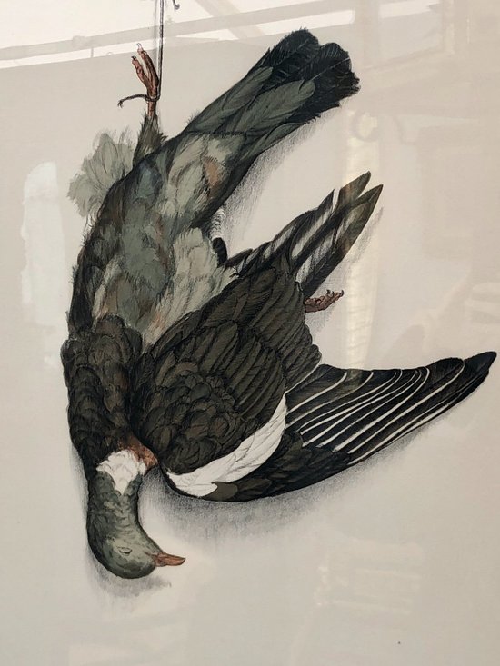 Pair Of Wood-pigeon Lithographs, Signed Jérôme Trolliet And Dated 1972