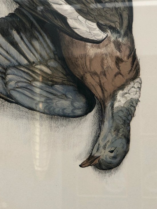 Pair Of Wood-pigeon Lithographs, Signed Jérôme Trolliet And Dated 1972