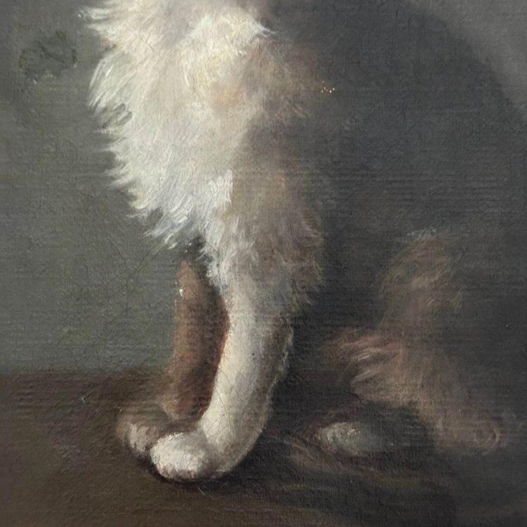 Öl auf Leinwand, Porträt einer Katze, signiert von Henriette Barry 1899
