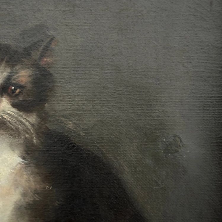 Öl auf Leinwand, Porträt einer Katze, signiert von Henriette Barry 1899